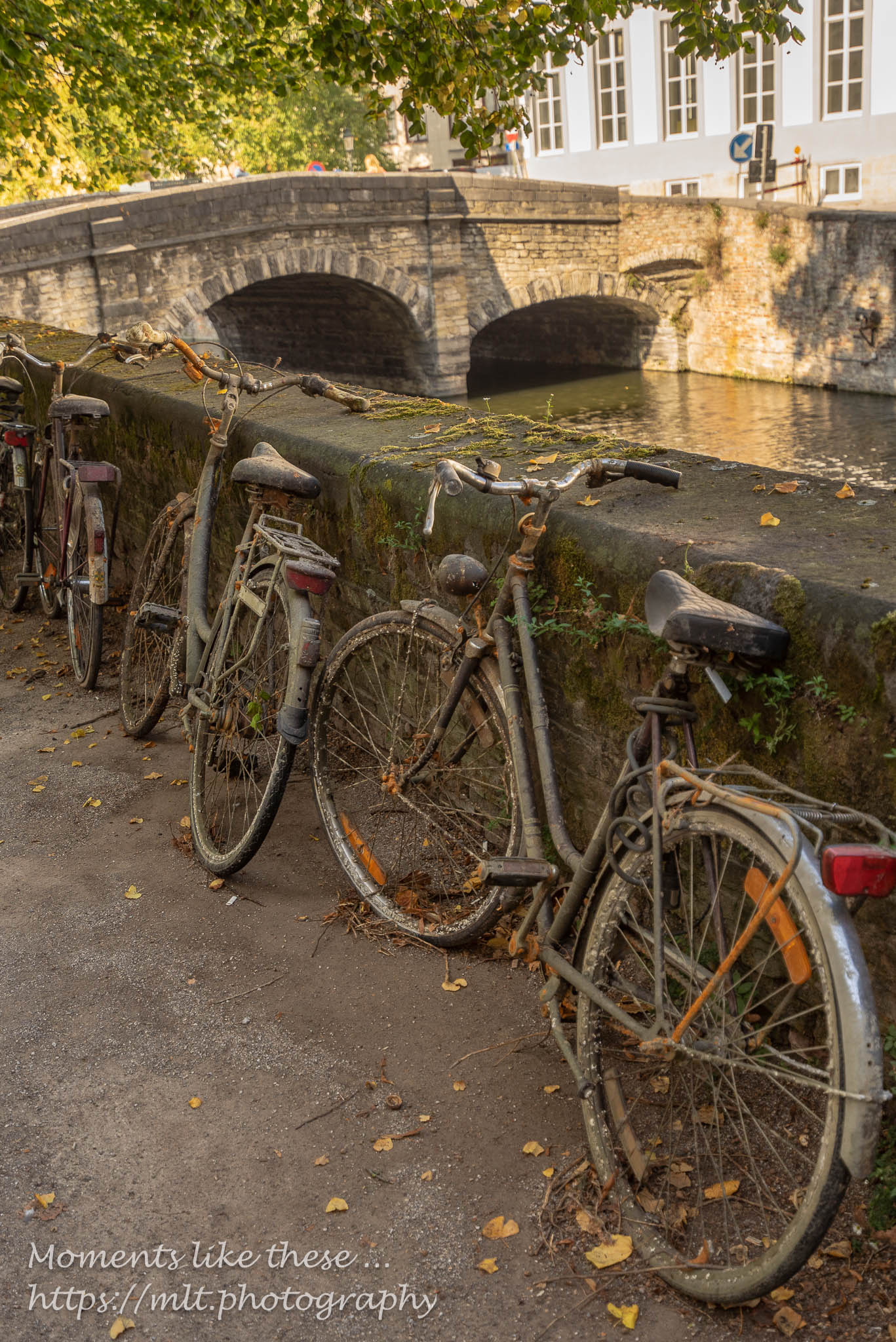 Bikes from the canal?