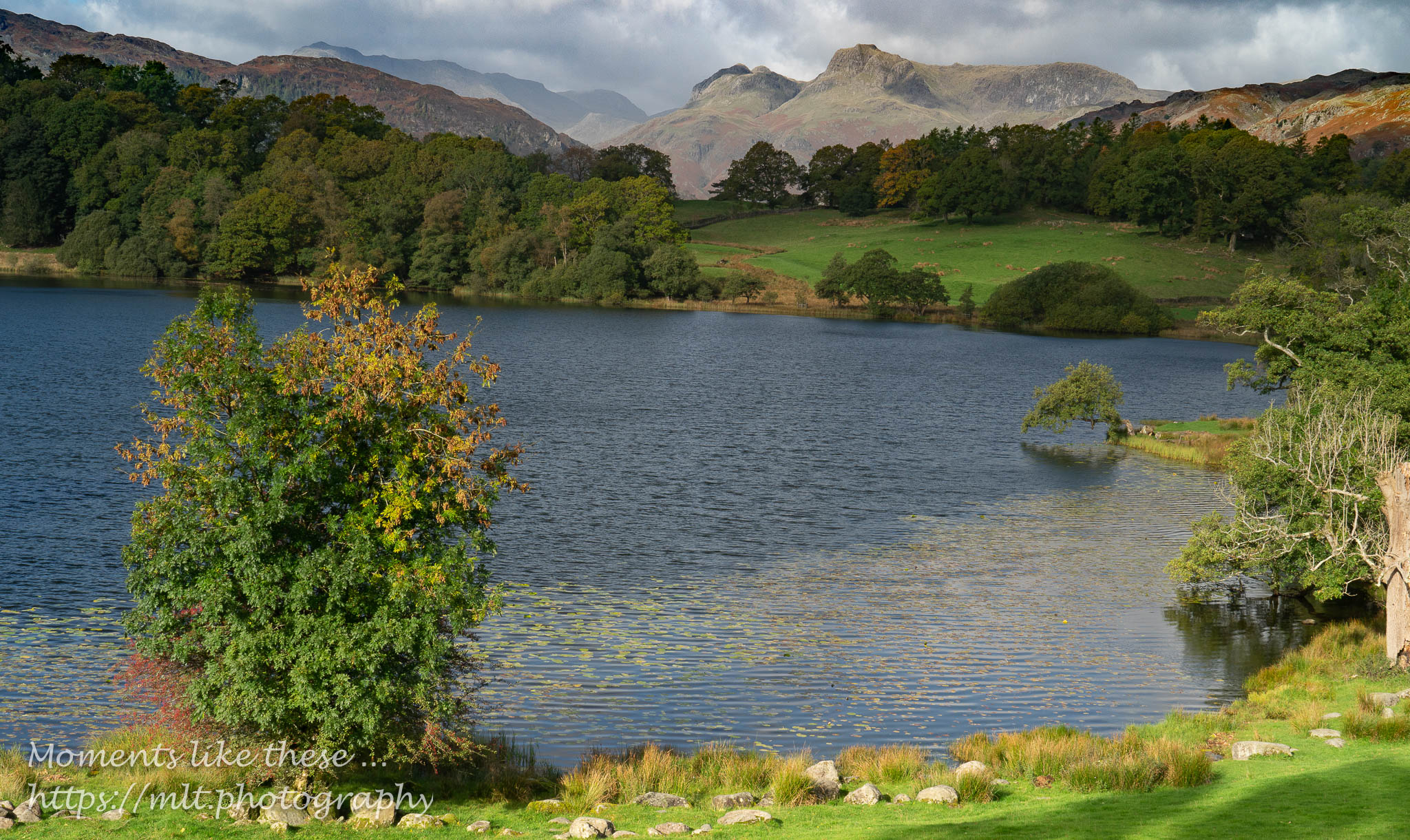 Loughrigg Tarn and Langdale Pikes
