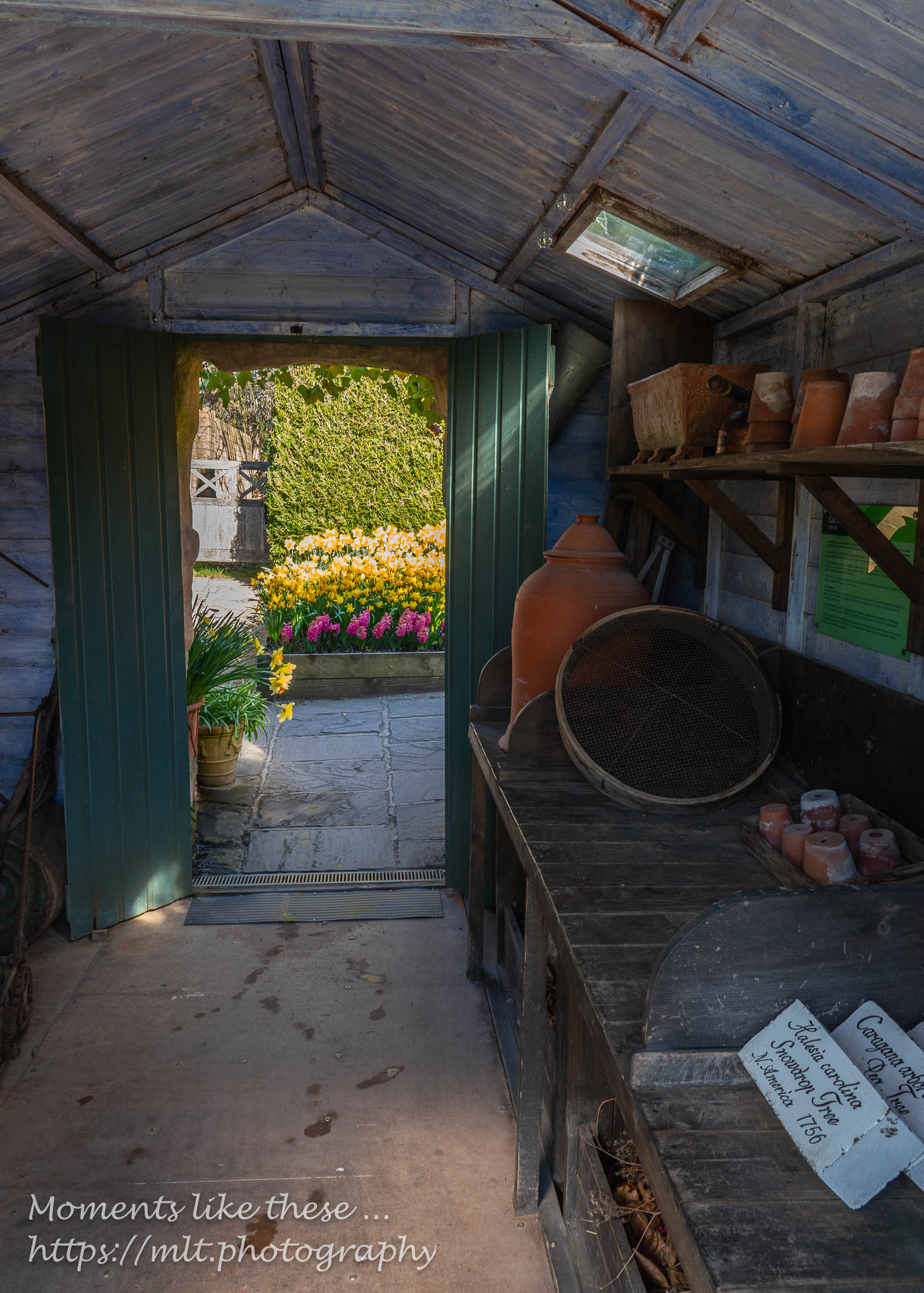 The Potting Shed