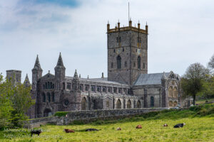 St David's Cathedral from across the meadow