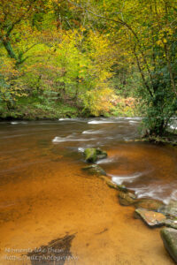 River Teign in autumn