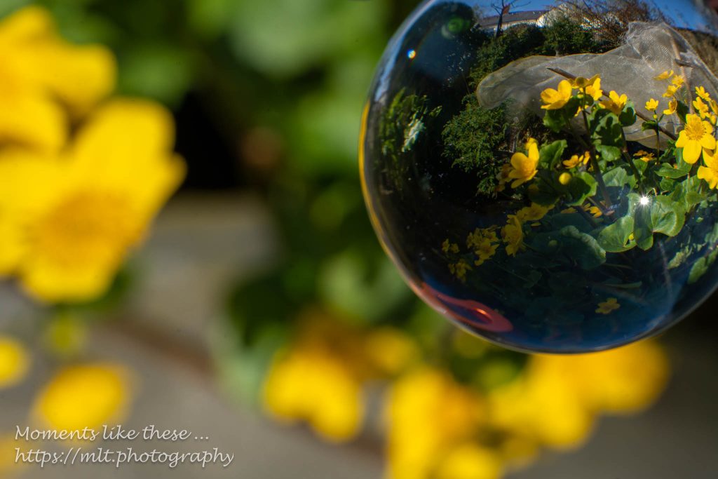 Lens ball by the pond