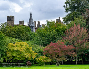The castle from Bute Park