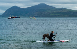 Paddle boarding at Porthdinllaen